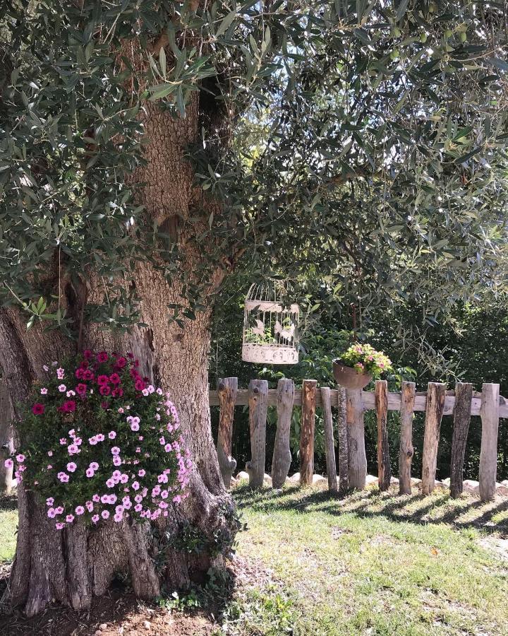 Agriturismo Le Faeta Arpino Luaran gambar