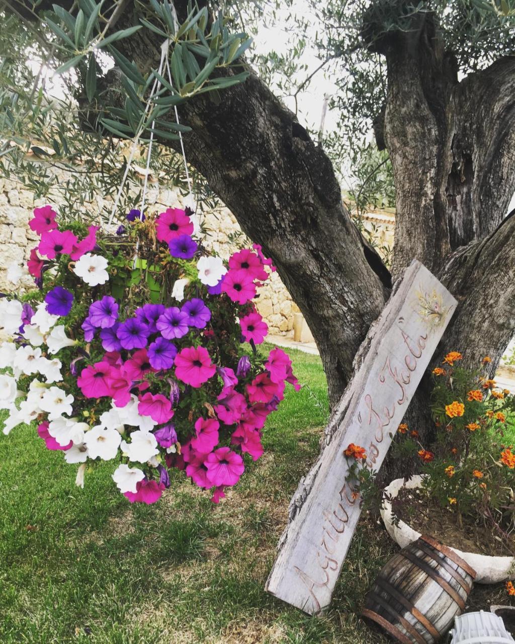 Agriturismo Le Faeta Arpino Luaran gambar